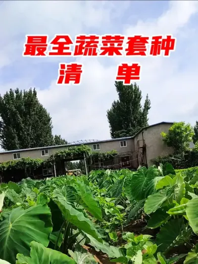 最全蔬菜套种清单 #种菜 #种菜小技巧 #种植小技巧 #三农种植 #套种