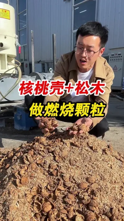 450型生物质颗粒机核桃壳加松木做燃烧颗粒，这样的颗粒既漂亮热值又高。#生物质颗粒机 #颗粒机厂家 #颗粒机