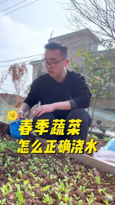 春季蔬菜怎么正确浇水？蔬菜浇水小技巧#种菜小技巧 #关注我一起学种菜 #学种菜 #阳台种菜 #每天分享蔬菜种植技巧