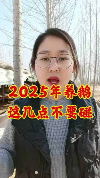 2025年养鹅，这几点不要碰#养鹅 #鹅 #养鹅人 #养鹅技术分享 #三农
