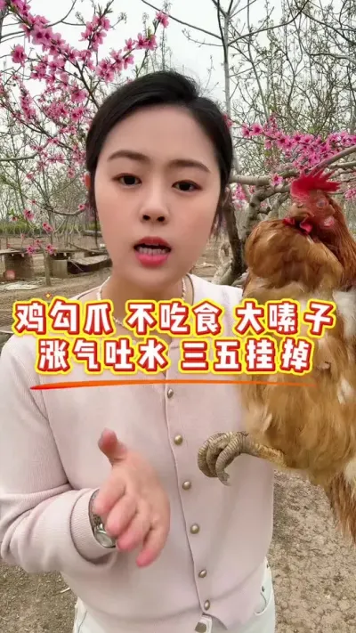 鸡消瘦 打蔫 涨嗉子 吐水 僵鸡 三五挂掉怎么办 #养鸡#鸡病防治#科学养鸡#养鸡妙招#散养土鸡
