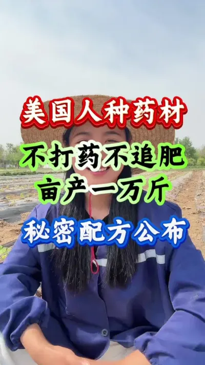药材种植 美国人种药材不打药不追肥亩产一万斤 秘密配方公布 #药材种植 #药材管理 #药材高产
