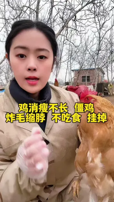 鸡消瘦不长僵鸡，炸毛缩脖经常挂掉#科学养鸡 #鸡鸭鹅养殖 #养殖小妙招 #鸡病防治