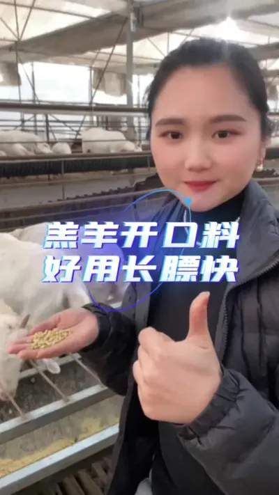 羔羊开口料羊羔长势好#育肥羊羔专用饲料 #羊羔饲料 #牛羊饲料 #牛羊养殖技术分享