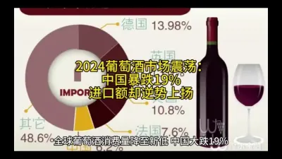 3.&nbsp;2024葡萄酒市场震荡：中国暴跌19%，进口额却逆势上扬@云食界展贸服务平台