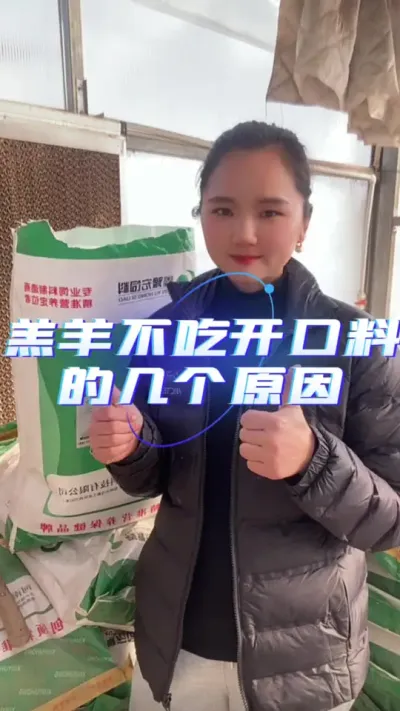 羔羊开口料#开口料 #羔羊开口料 #羔羊