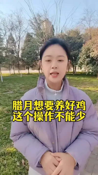腊月养鸡这样做顺顺利利到出栏#养鸡#鸡鸭鹅养殖#散养土鸡#养鸡妙招