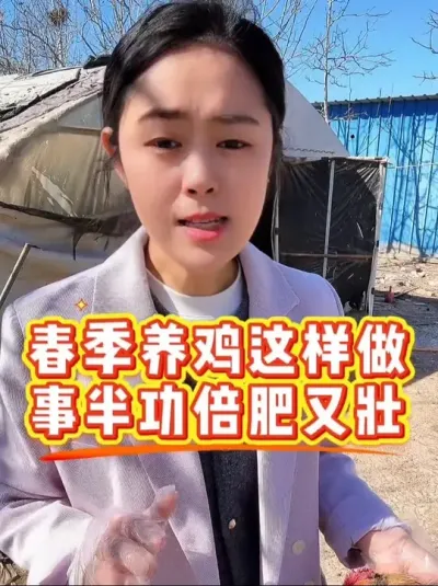 春季养鸡这样做事半功倍肥又壮 春季养鸡一个月驱虫一次，让鸡体内外干干净净，不被寄生虫困扰。#养殖小妙招 #鸡病防治 #科学养鸡 #家禽养殖 #抖音养鸡人
