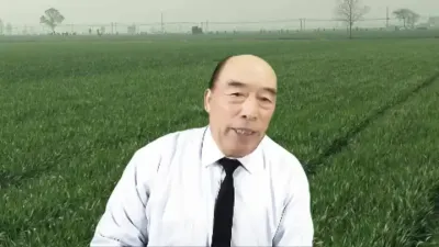 小麦的超高产冬季管理大管大丰收#小麦高产技术 #农业技术推广 #土壤改良 #农资肥料 #小麦种植管理技术