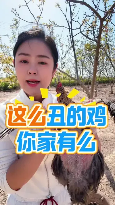 这么丑的鸡你家有么#养鸡 #鸡病防治 #鸡鸭鹅养殖 #养鸡人 #服务三农支持三农