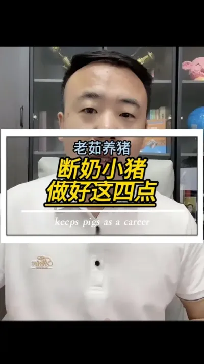 断奶小猪不好养？做好这四点就没问题！#养猪#创作灵感#养猪技术#养殖技术