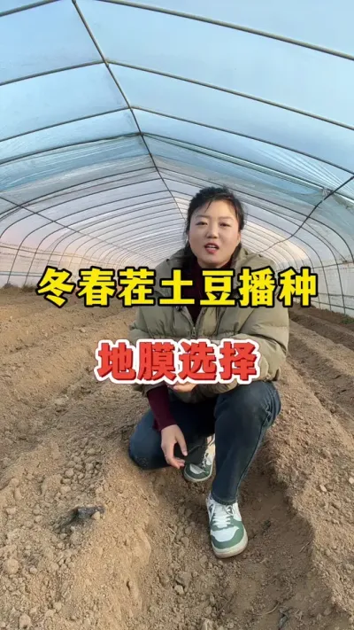 冬春茬土豆地膜该怎么选择#土豆 #土豆产量 @抖音小助手
