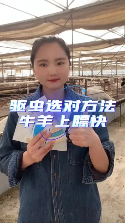 牛羊驱虫##驱虫的重要性 #牛羊驱虫 #驱虫药