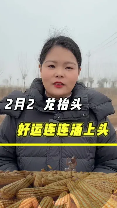 2月2龙抬头 小管祝您龙抬头，快乐无尽头！#农业 #龙抬头 #玉米 #三农