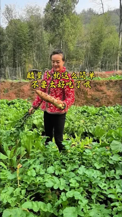#创作灵感 #我的乡村生活 地里的白萝卜长太好了，拔一个回去做酸萝卜，分享一下酸萝卜简单做法，酸酸甜甜的主要还很脆哦，太爽口了吧！#自制泡萝卜做法 #冬天是吃萝卜的季节 #清脆萝卜做法 @DOU+上热