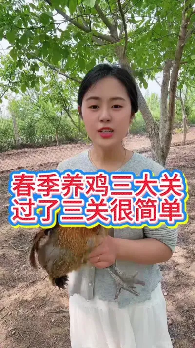 #鸡鸭鹅养殖 #养鸡人 #科学养鸡 #服务三农支持三农 #抖音养鸡人