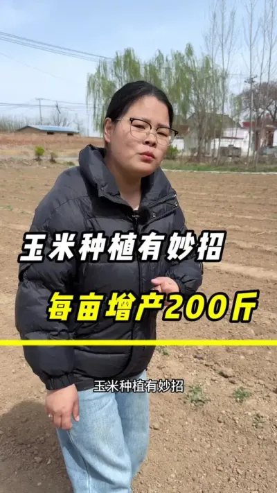 玉米种植有妙招，每亩增产200斤#三农 #玉米种植 #农业 #玉米 #玉米高产