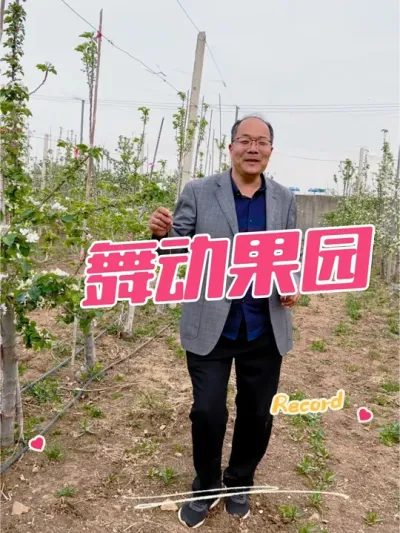 舞动果园 果农要开心，来一起舞动起来。当前果事：各种果树拉枝。#舞动青春活力 #果园 #农村生活 #舞动果园