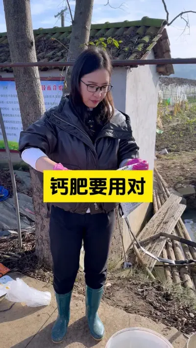 钙肥的选择也是比较重要的！#启明大师姐 #农业技术推广 #草莓种植管理技术和方法 #农业种植 #草莓种植