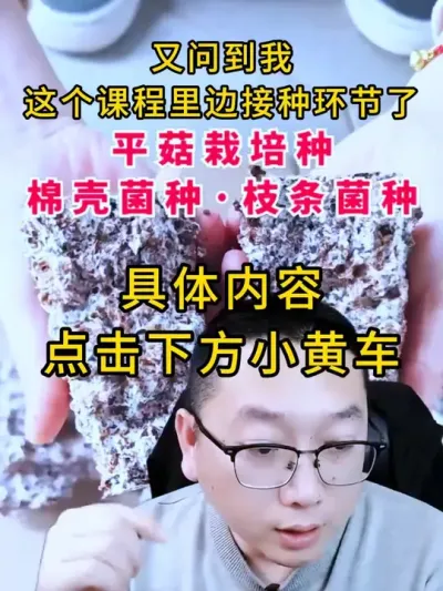 平菇种植，接种环节很重要，点击小黄车查看具体内容。#平菇种植 #平菇种植技术 #平菇种植课程
