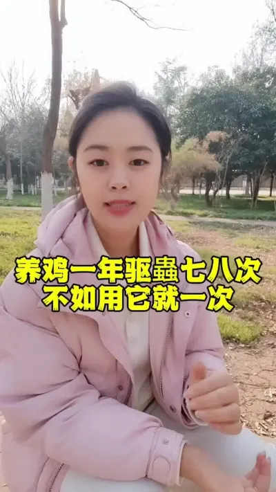 养鸡一年驱蟲七八次不如用它就一次#养殖小妙招 #家禽养殖 #养殖人 #养鸡 #三农服务
