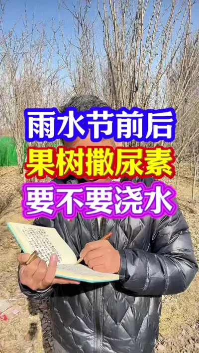 #促花保果 #促花肥 #保花保果 #抖音助农 #分享农业知识帮农民增产增收