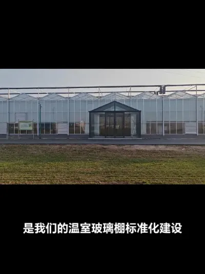 高标准温室玻璃棚 我们优选了一批国外优质葡萄品种，高标准种植，共同见证生长的过程#葡萄种植 #温室大棚 #葡萄新品种 #高标准果园