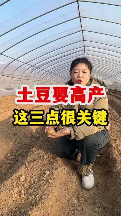 土豆的高产，这三点很关键#土豆 #土豆种植 @抖音小助手