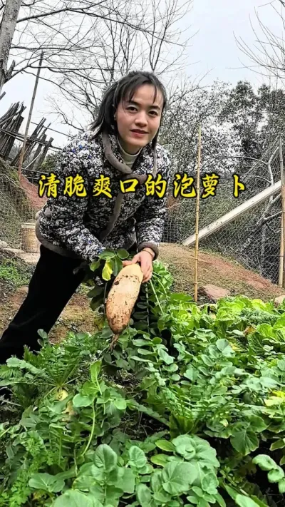 #创作灵感 #我的乡村生活 过年期间每天大鱼大肉是不是腻得很呀，泡点萝卜吧，这样泡的萝卜不光简单还好吃，酸辣脆爽稍微带点甜味好吃到停不下来哦！#普通的饭菜都是家的味道 #自制泡萝卜做法 #大山里的味道