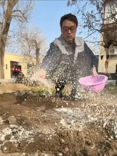 春播开始了，想要土里不生虫，蔬菜少得病，就在土地里撒点生石灰粉 #种菜 #种菜小技巧 #病虫害防治 #生石灰 #在家种菜