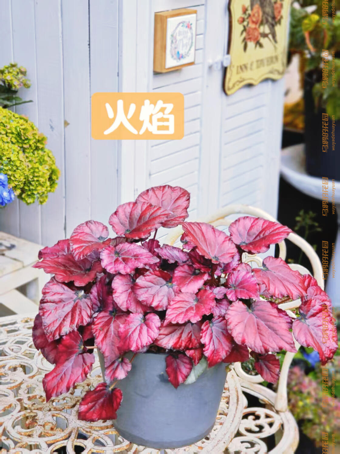 http://static.ixuenong.com/pxn/uploads/prod/thirdfile/2025/05/a7f1a010f79cda079cfcd08ab5847849.jpg