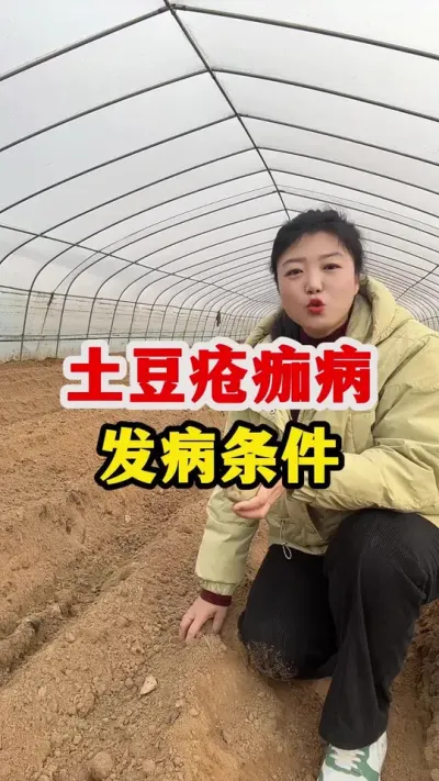 土豆疮痂病防治措施@抖音小助手 #土豆 #土豆种植技术与管理 #土豆高产种植