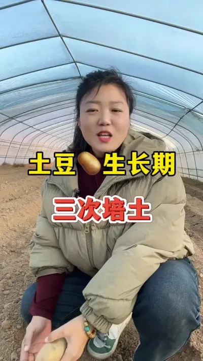 土豆生长期的三次关键培土#土豆高产种植 #土豆 @抖音小助手