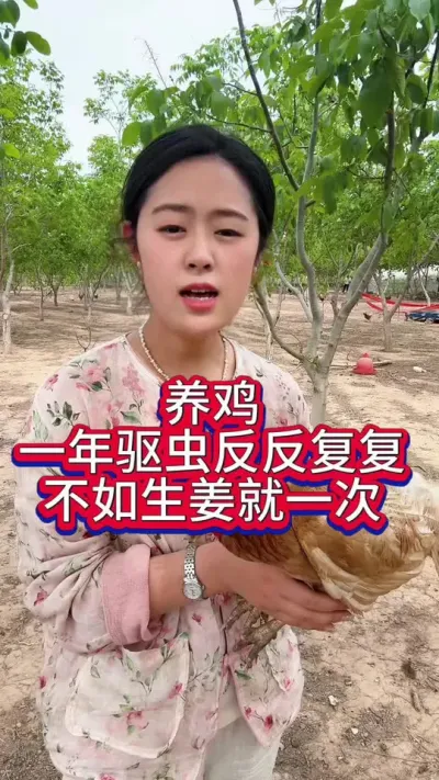 #科学养鸡 #服务三农支持三农 #养鸡人 #鸡鸭鹅养殖 #抖音养鸡人