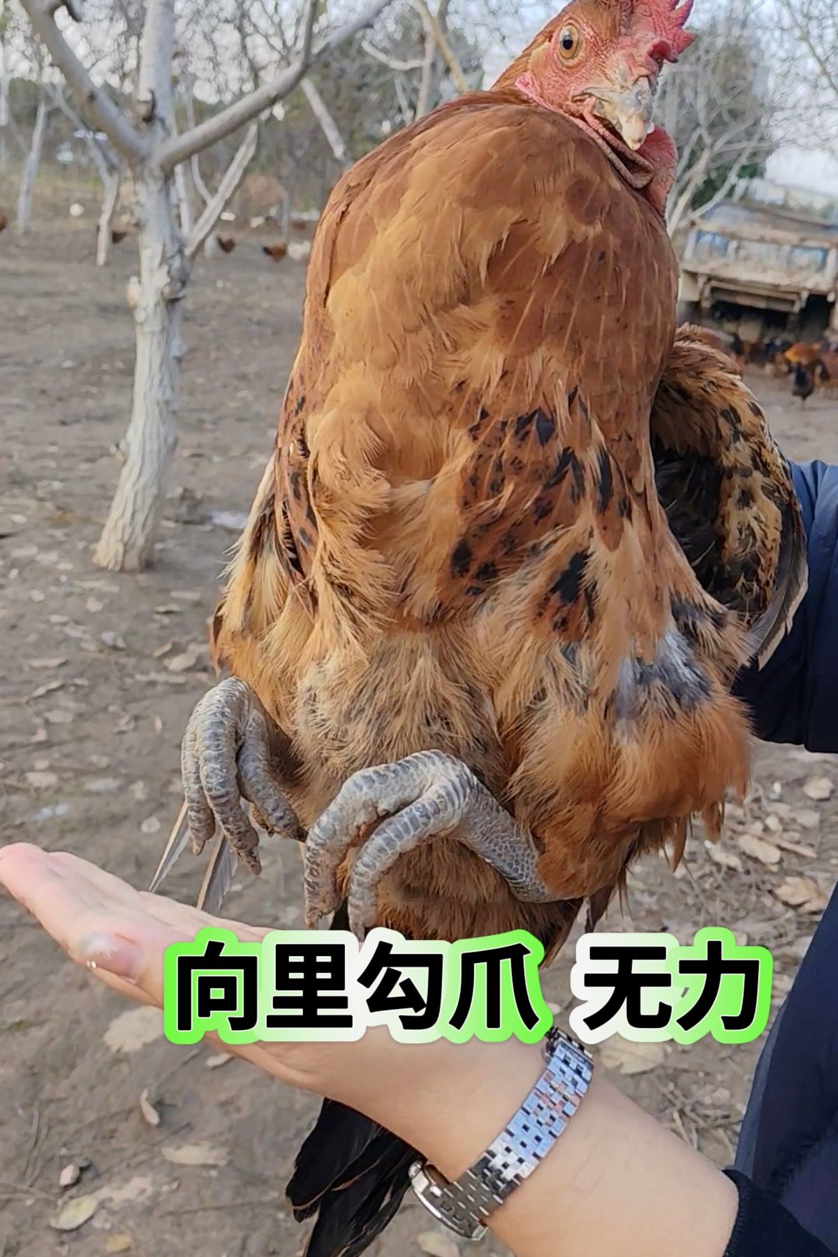 http://static.ixuenong.com/pxn/uploads/prod/thirdfile/2025/05/a918f53f7a10be39845dd1c1321eba68.jpg