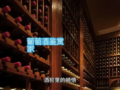 葡萄酒鉴赏家#品酒品人生 @云食界