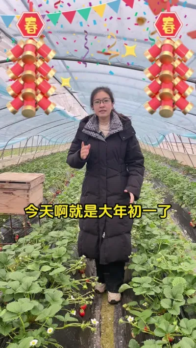 祝福大家新年快乐，蛇年行好运！#启明大师姐 #村里的新年#新农人计划2025