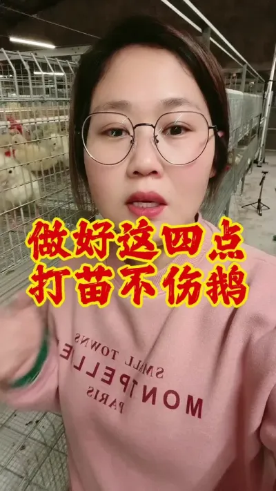 做好这四点，打苗不伤鹅#科学养鹅 #养鹅 #养鹅技术分享 #养鹅人 #鹅