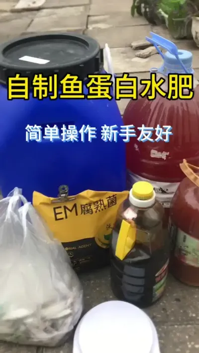 自制鱼蛋白水肥，简单操作新手友好，瓜果蔬菜的最爱！#肥水制作 #记录我的种植生活 #鱼蛋白 #发酵