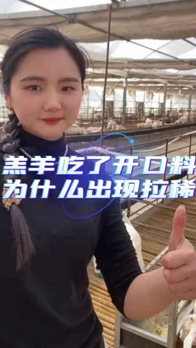 羔羊开口料#养羊人 #养羊技术 #养羊创业 #羔羊开口料