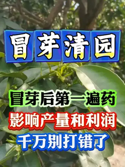 冒芽后第一遍药打什么效果最好#果树种植 #果树管理 #果园管理 #病虫害防治用药方案