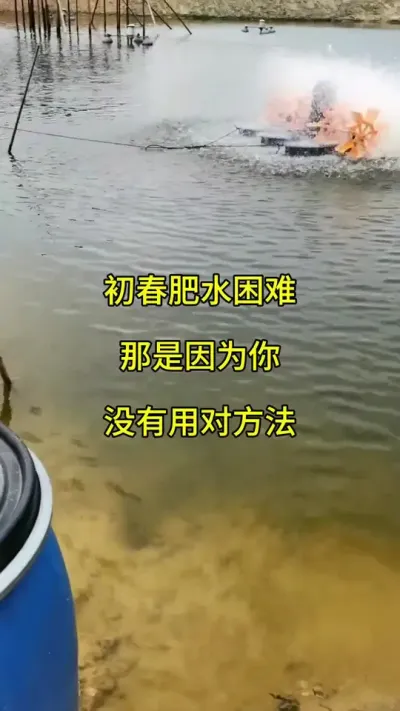 低温肥水就用多肽十亩肥 #水产养殖 #鱼虾蟹养殖 #高密度养殖 #南美白对虾 @抖加🔥上热门🔥dou+🔥热点宝