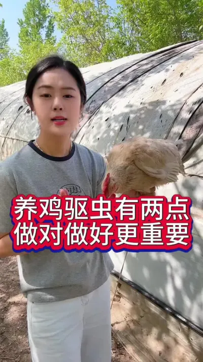 养鸡驱虫有两点做对做好更重要#养鸡#科学养鸡#散养土鸡#养鸡妙招#鸡鸭鹅驱虫