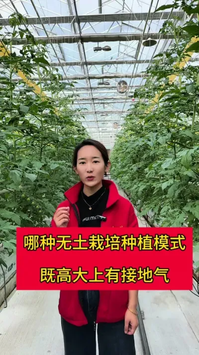 #农业种植 #三农 #无土栽培#智慧农业
无土栽培种植真的是高不可攀的吗。