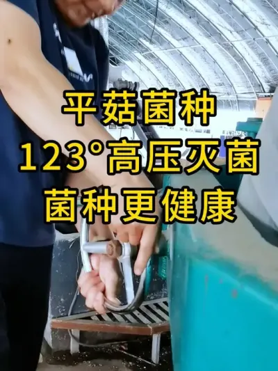 平菇菌种，123&deg;高压灭菌，纯种培养，菌种更健康，需要菌种的可以和我联系#平菇种植 #平菇菌种 #食用菌栽培种 #栽培种