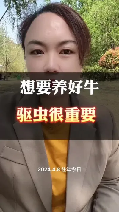 想要牛羊上膘快，驱虫很重要#养殖户 #全国养牛人 #肉牛养殖 #西门塔尔