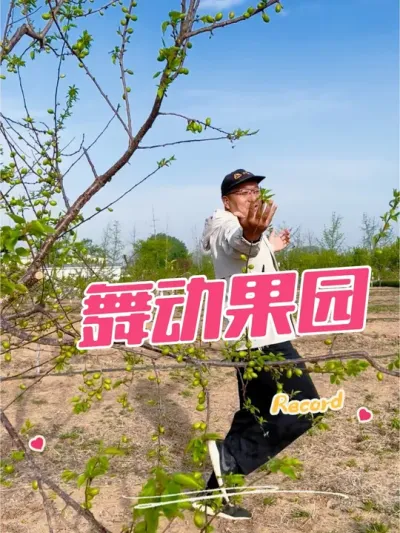 舞动果园 珍珠油杏疏果，这也到了补钙的关键时期。#舞动 #果树管理 #珍珠油杏 详细技术请关注，每天早6点直播。