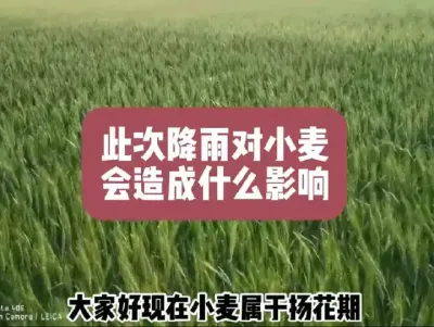 #抖音助农#分享农业知识帮农民增产增收 #农业人话农业