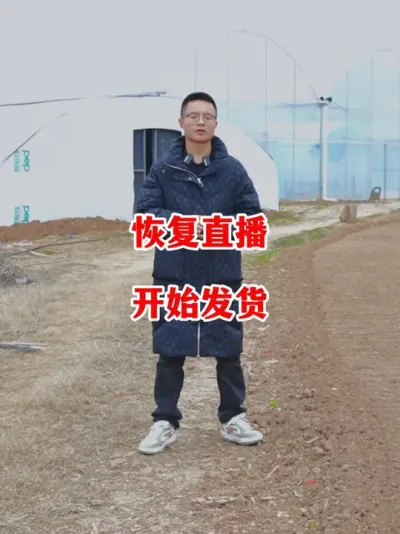 每天晚上七点半恢复正常直播开始正常发货了#辣椒种植 #辣椒 #小米辣 #线椒 #来抖音学农技