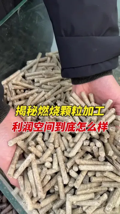 生物质燃烧颗粒行业内幕 揭秘燃烧颗粒行业加工内幕。#颗粒机 #燃烧颗粒 #生物质颗粒机
